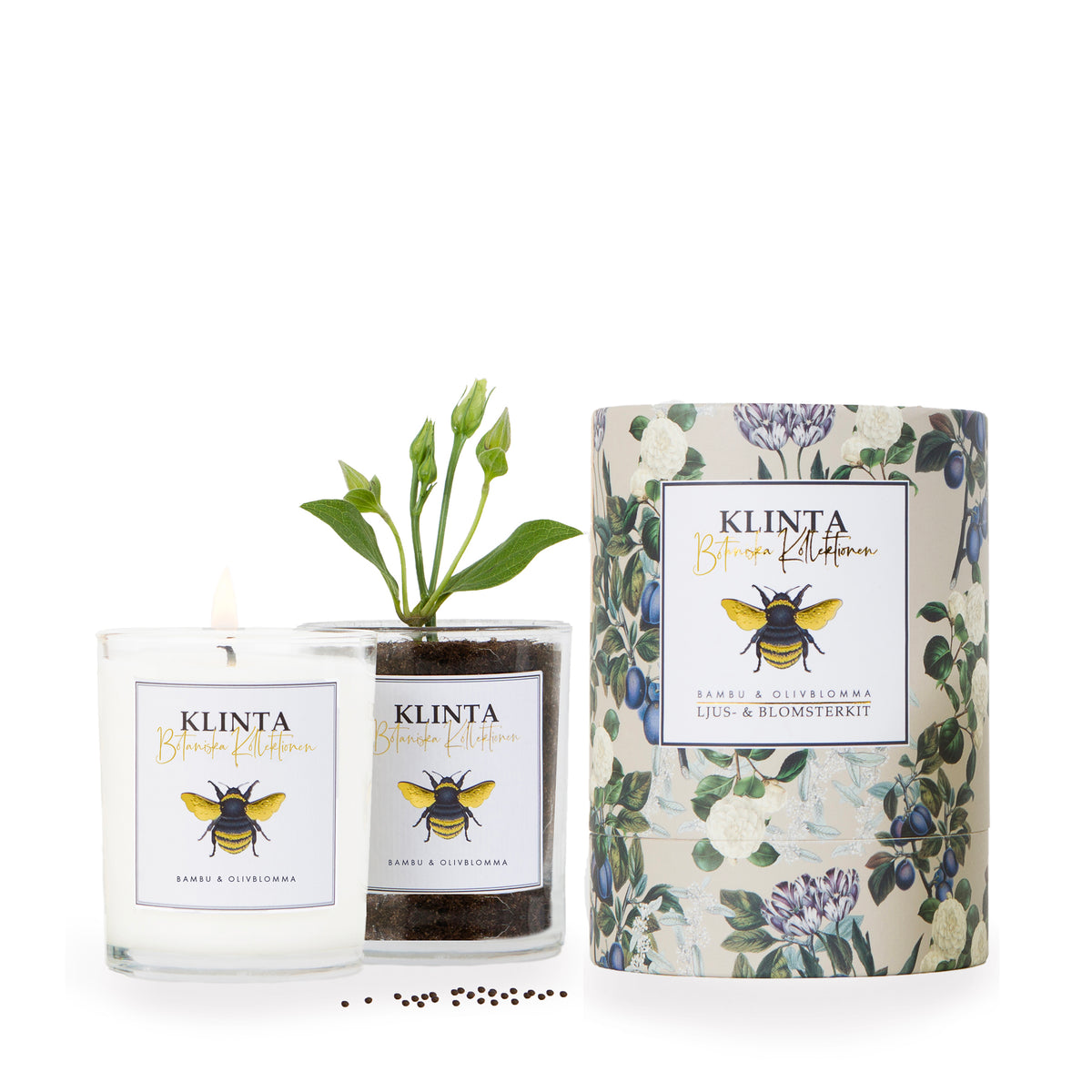 Botanical Scented & Massage Candles