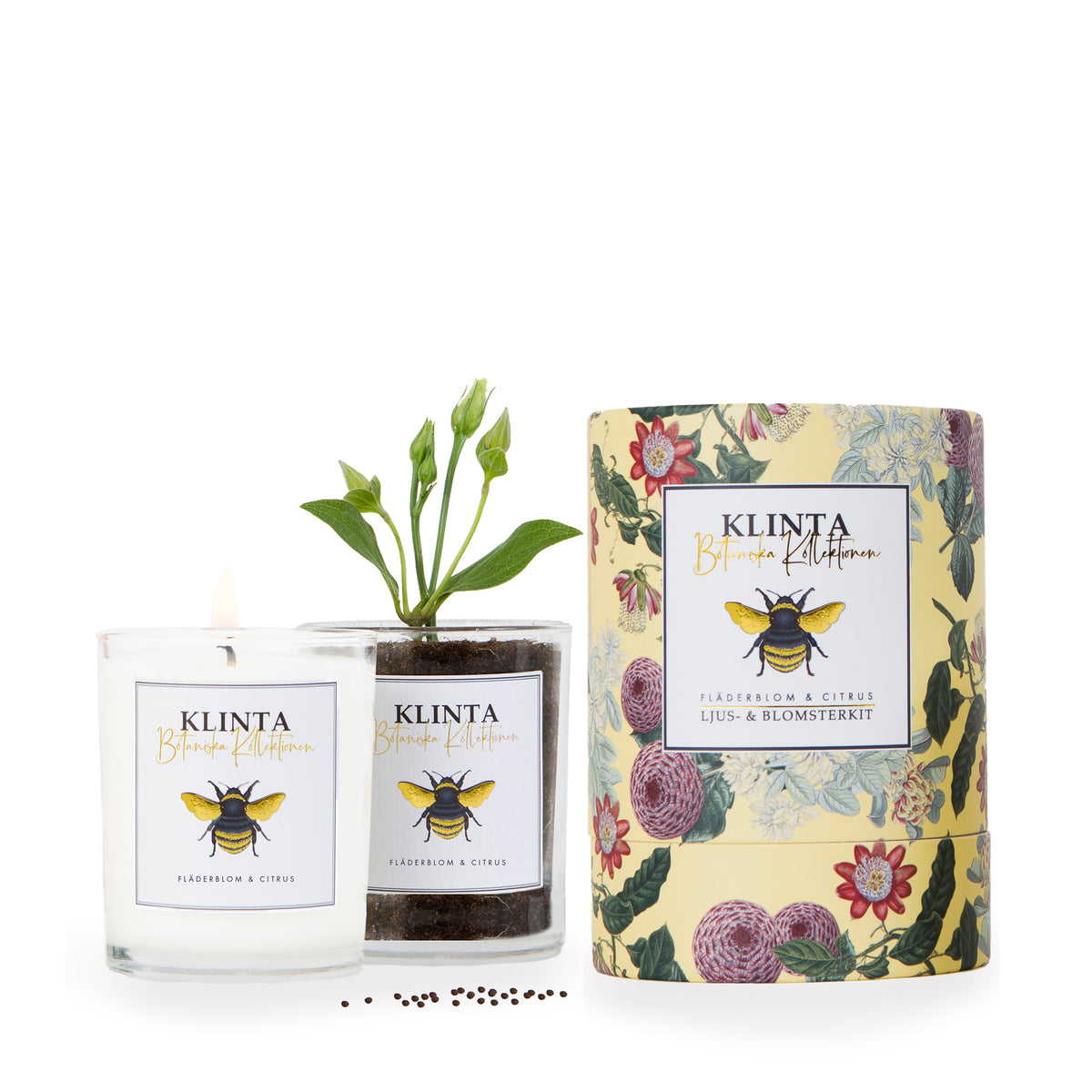 Botanical Scented & Massage Candles