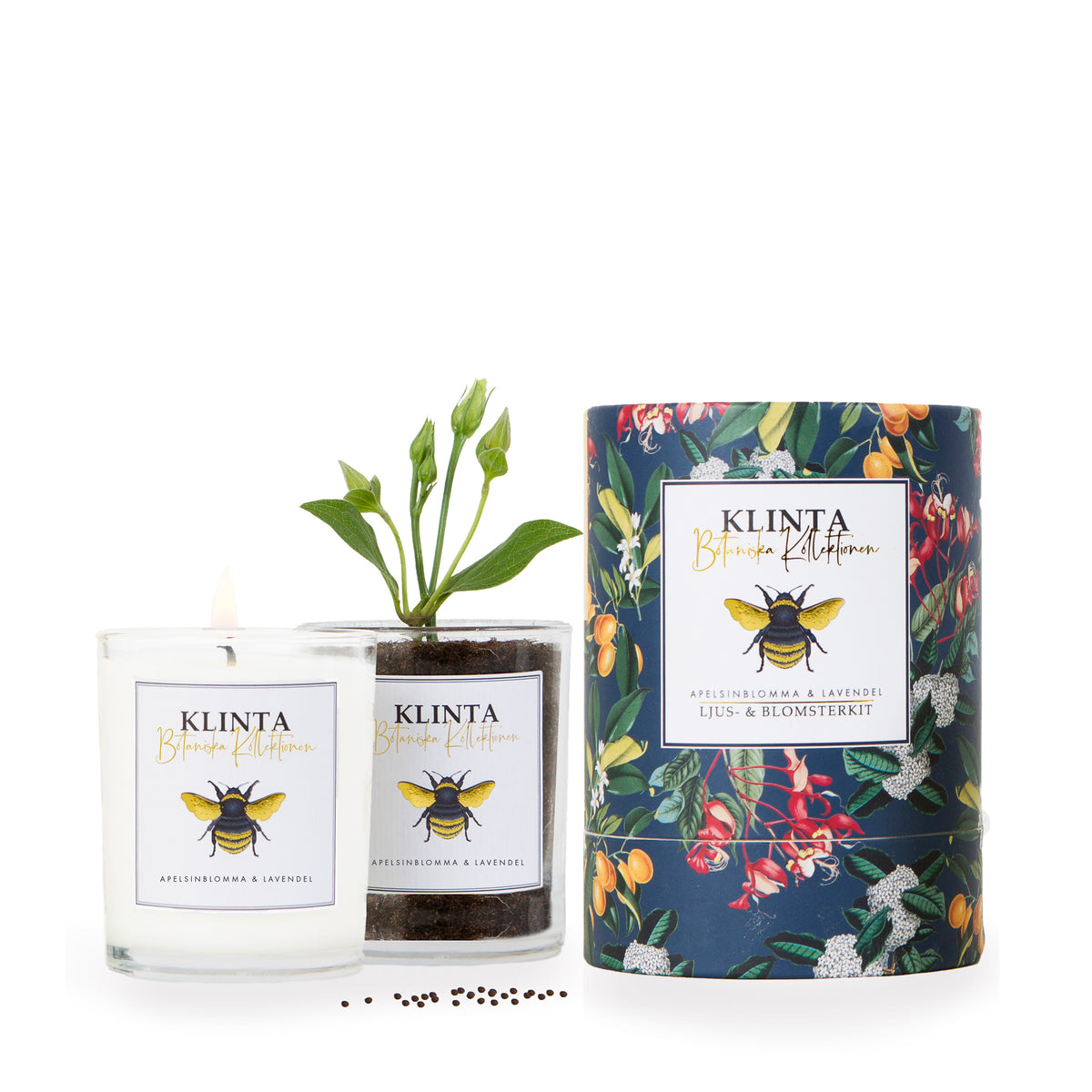 Botanical Scented & Massage Candles