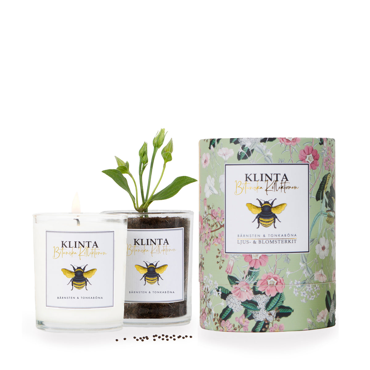 Botanical Scented & Massage Candles