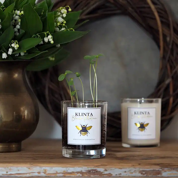Doftljus & Massageljus Botaniska