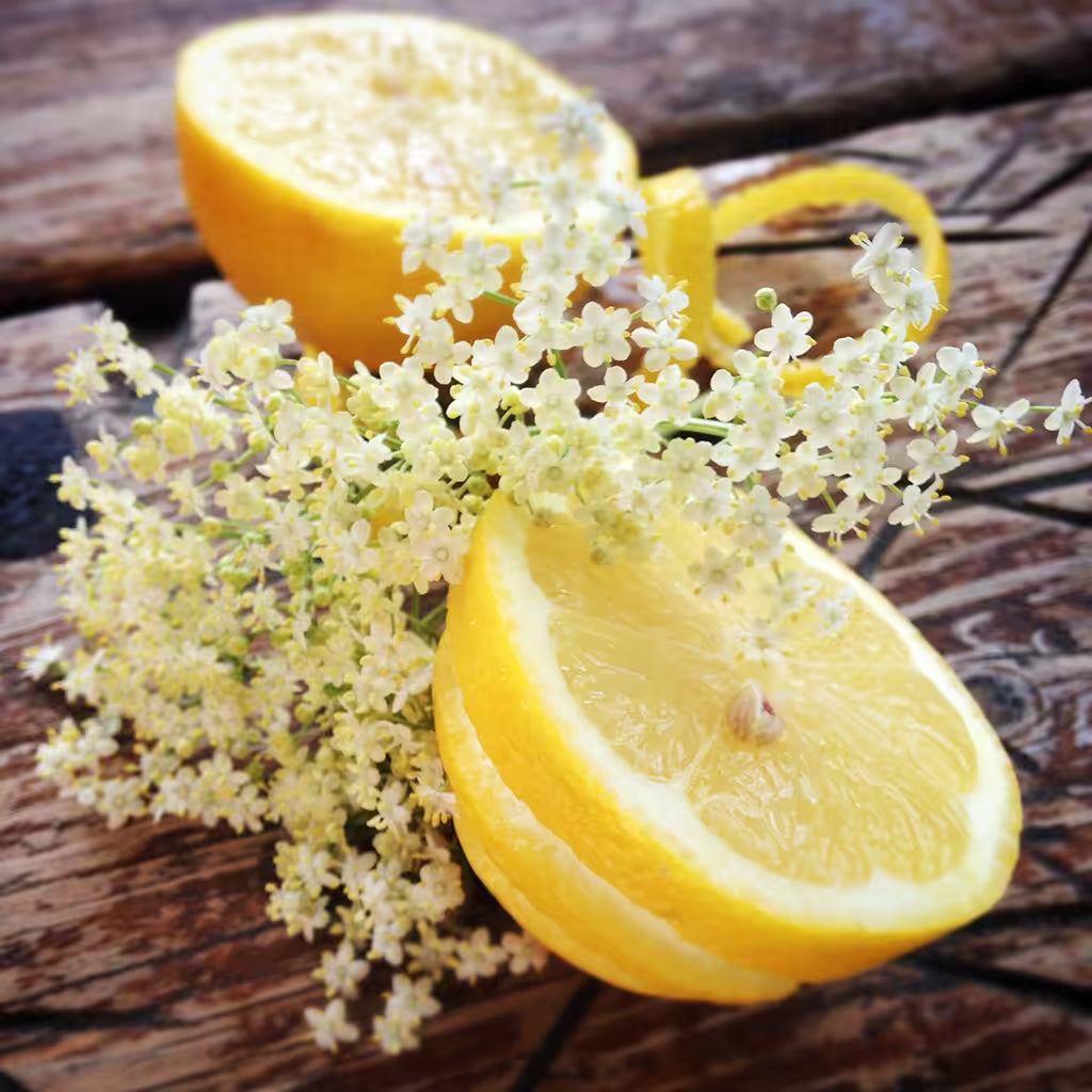 Doftpinnar Fläderblom & Citrus